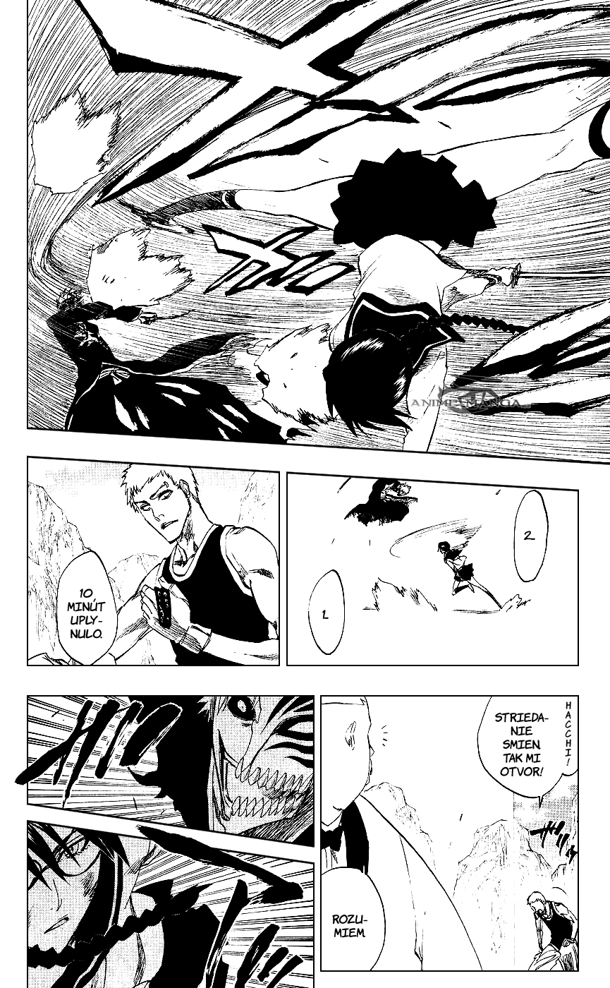 Bleach 219 12 kopie.jpg
